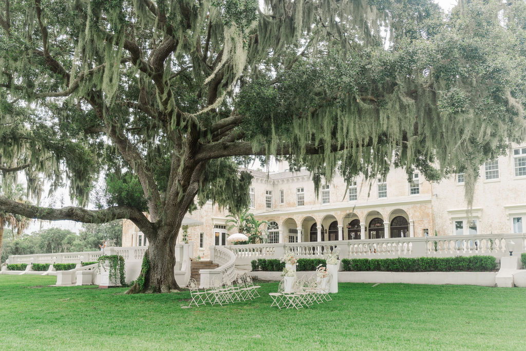 A view of a ceremony set up under a large live oak tree at one of the european style wedding venues in florida